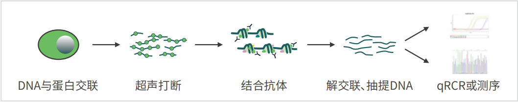 55402永利mg(中国)官方网站入口