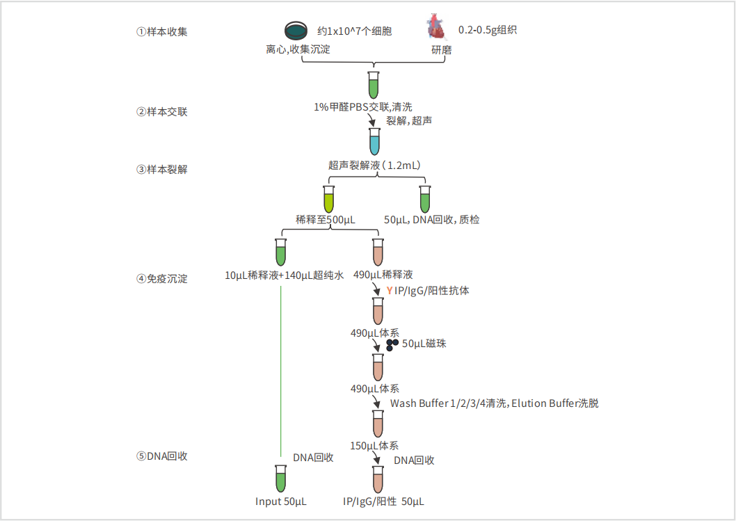 55402永利mg(中国)官方网站入口