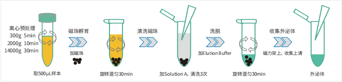 55402永利mg(中国)官方网站入口